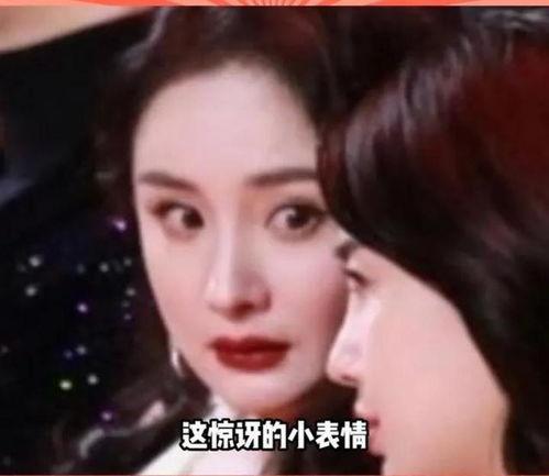 娱乐圈吃瓜教主小说,吃瓜教主揭秘幕后风云